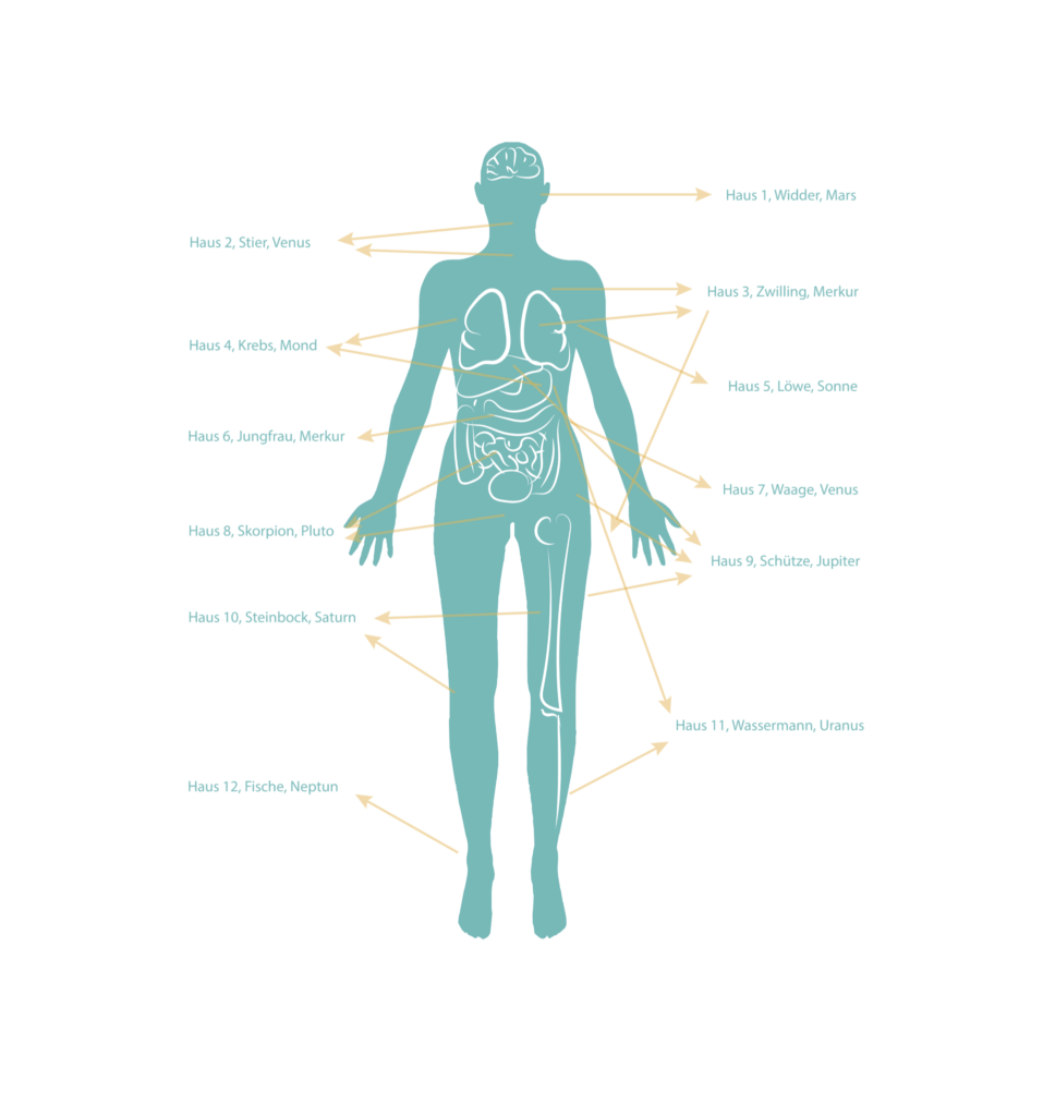 Astromedizinisches Prinzip: Zuordnung der Planeten und der Körperteile
